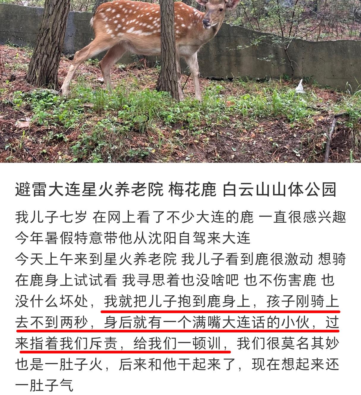辽宁大连，一位沈阳“仙妈”因为让7岁儿子骑到当地人很爱惜的野生梅花鹿身上被呵斥，