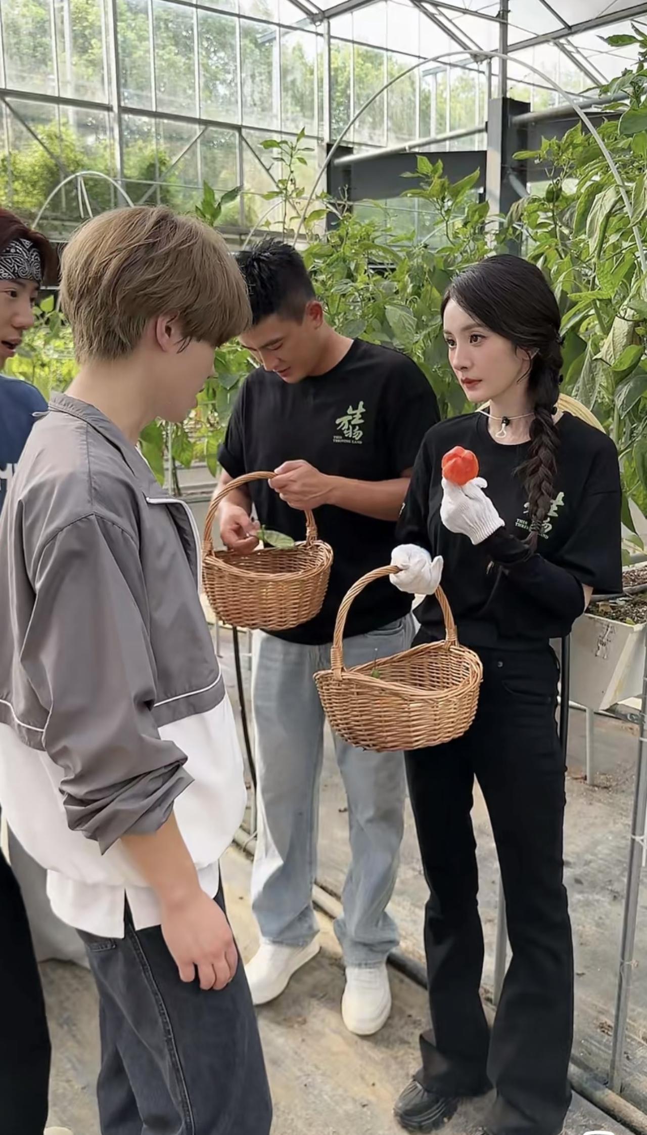 8月20日，杨幂与欧豪作为受邀嘉宾，现身某直播间的画面。两人主演的年代剧《万