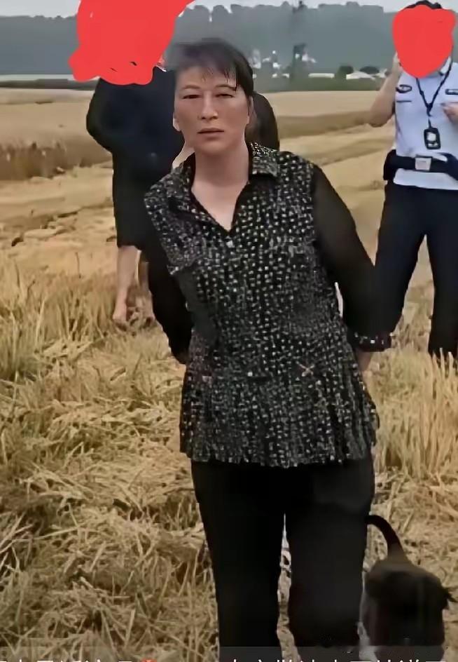 对襄阳大妈不能和稀泥！对襄阳大妈欺负外地收割机主的“地头蛇”行为，三个主体都觉