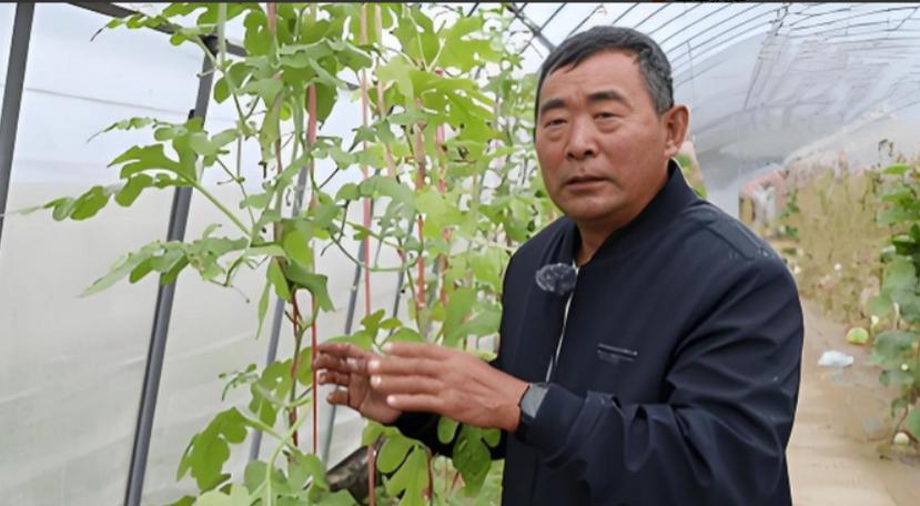 不识字的农民蹲田埂20年，攻克美日专家十几年难题，拒300万美元转身献给国家