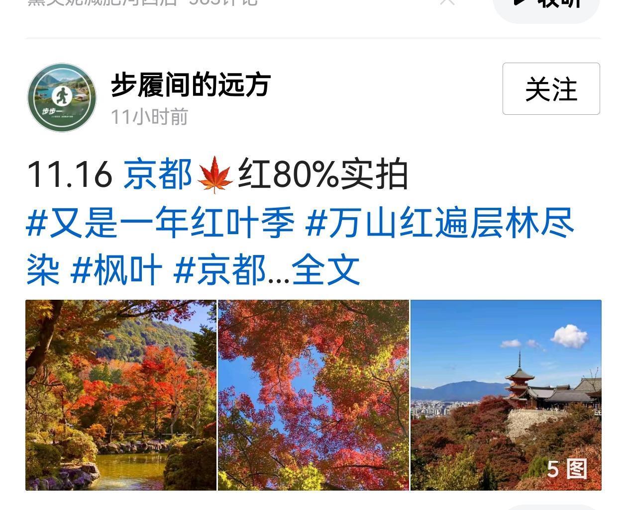 近几天头条。我发现高市早苗挑衅中国言论出现后，一个叫条子频繁在网上