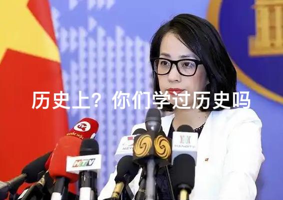 我们是不是过于善良了？什么“阿猫阿狗”都敢跳出来挑事！7月6日，越南外交部发言人