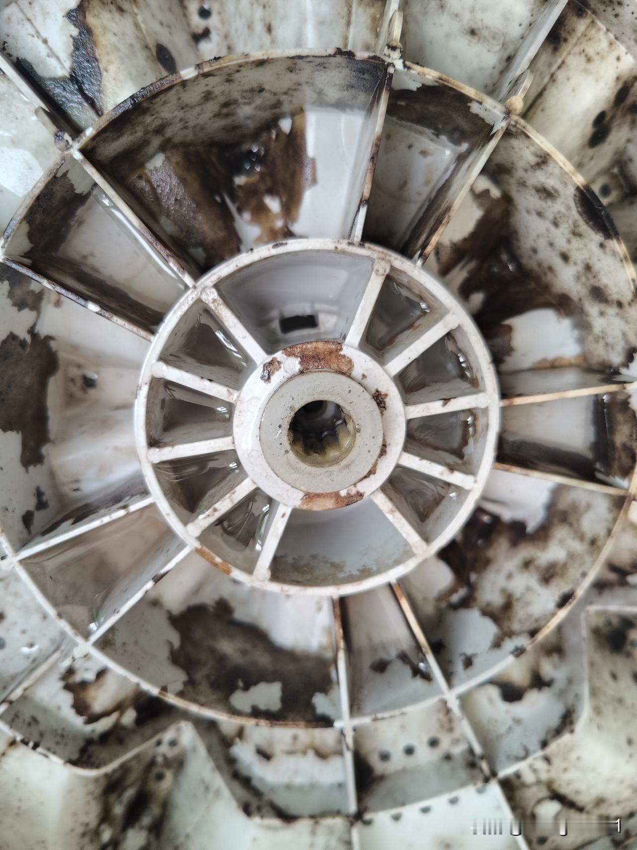 清洗洗衣机昨天清洗被罩时，我发现拉链头不见了，猜想它或许掉进了转盘下面。于是，