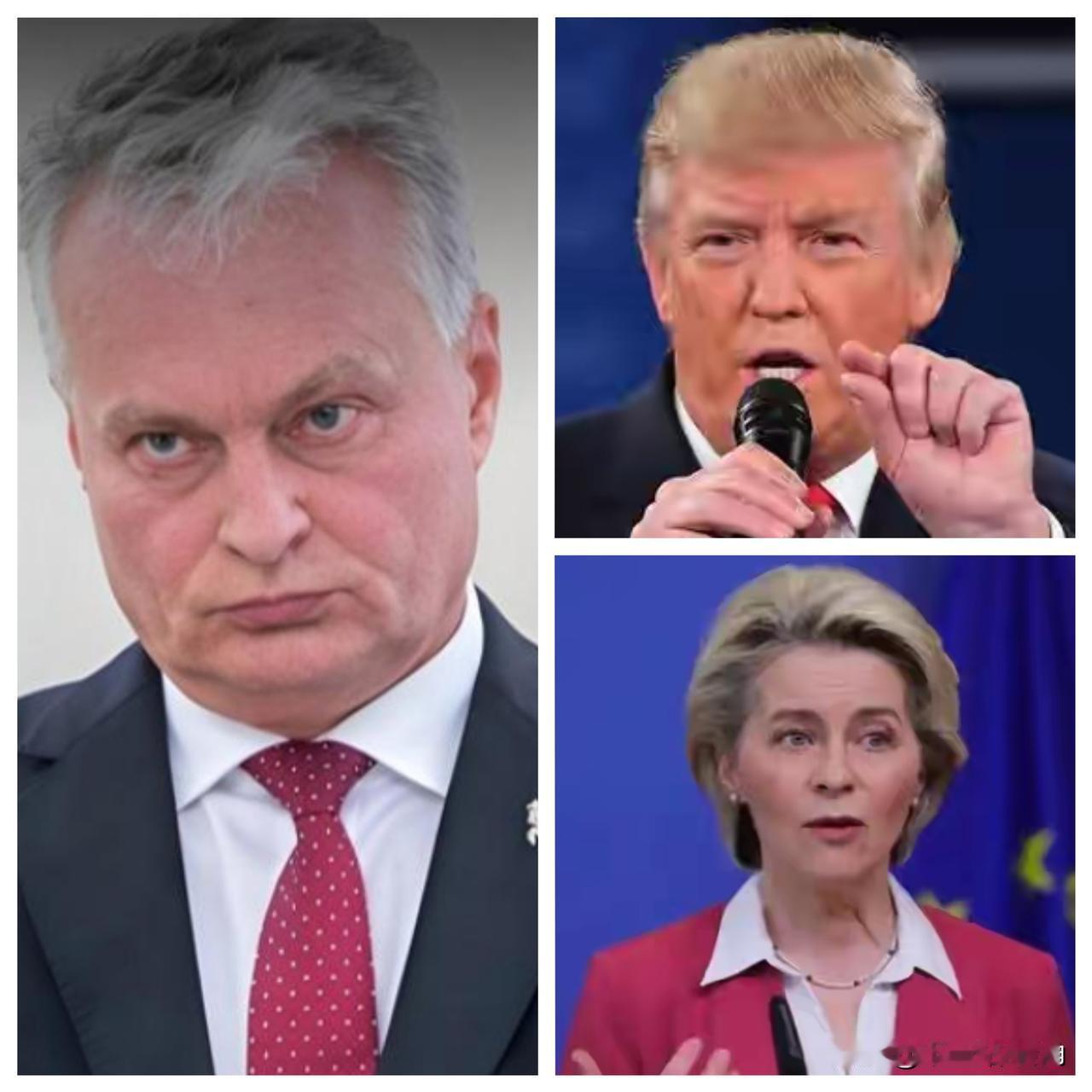 这回算是看清什么叫“塑料盟友”了！欧盟突然在WTO撤诉，一句轻飘飘的“证据不