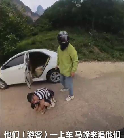 “严查到底！”8月4日，山西晋城，一男子牵着狗在山区内游玩，不料，狗的叫声惊扰到