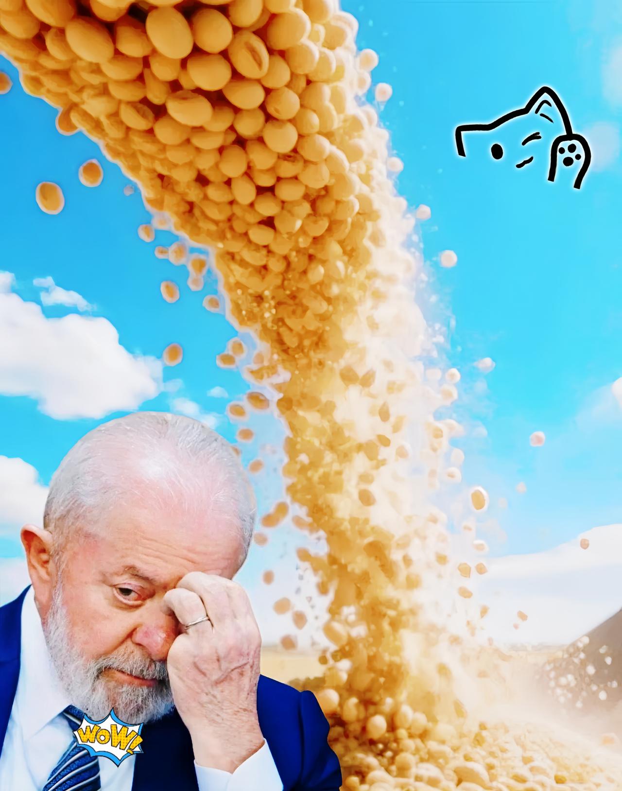 这下好了！巴西傻眼了谁能想到，曾经手握中国大豆订单的巴西农场主，如今急