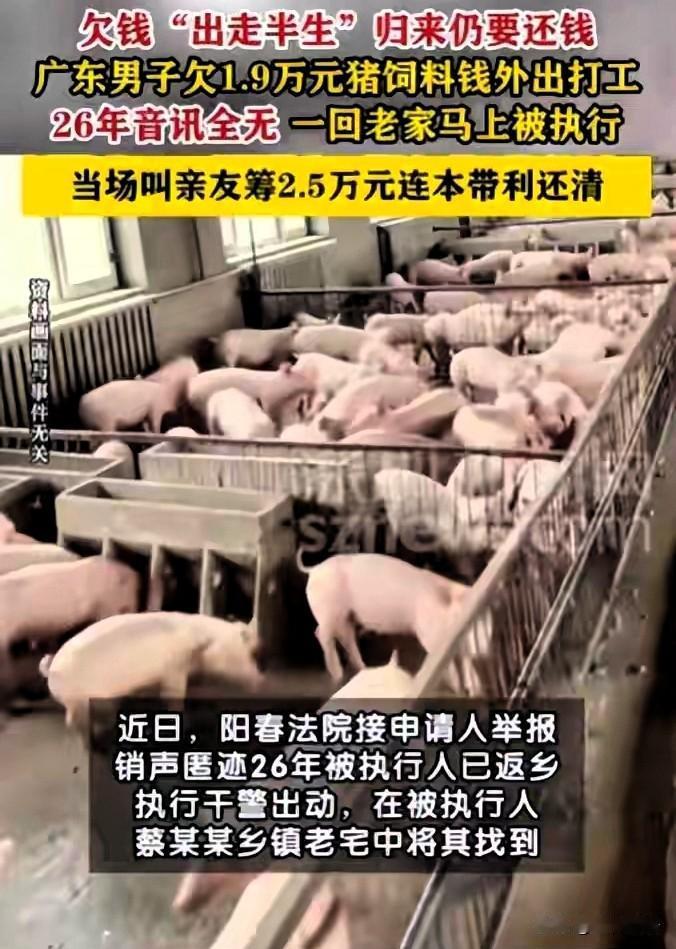 广东阳春，男子欠下19000元猪饲料钱，26年一分不还，他跑出去打工，玩消失，债