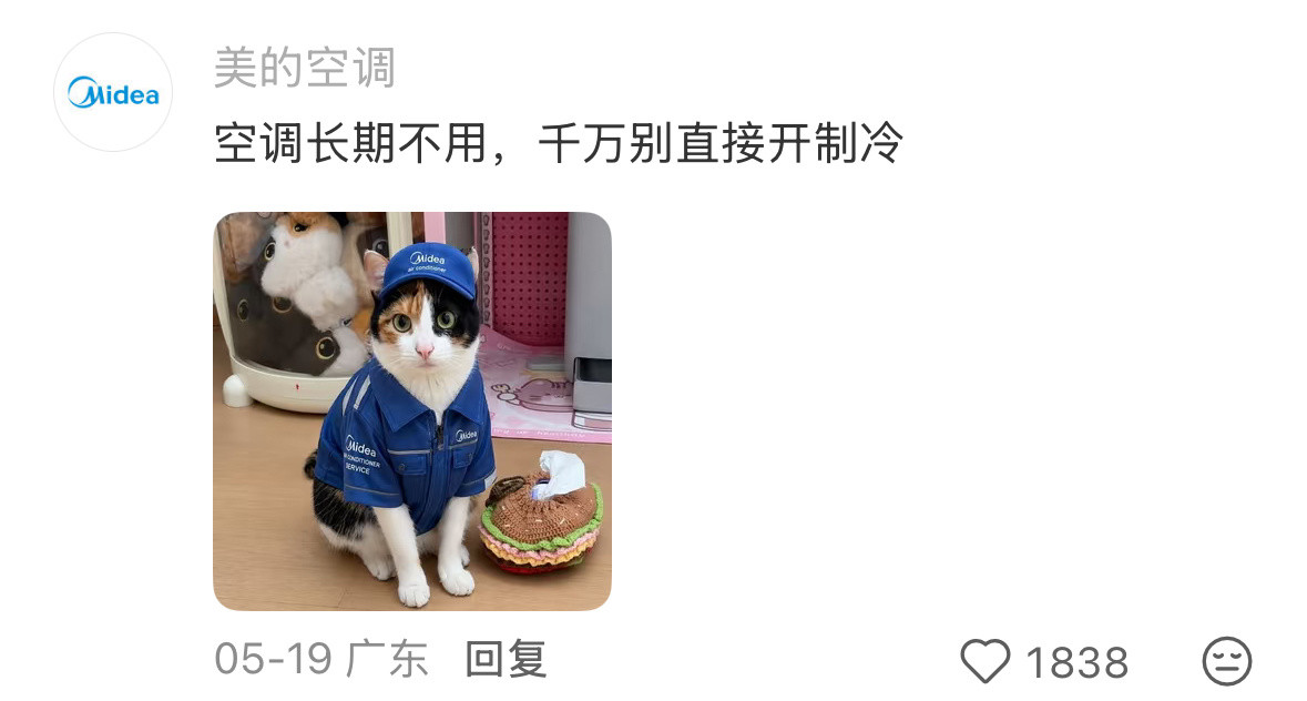 我上网就是来看这些东西的！！