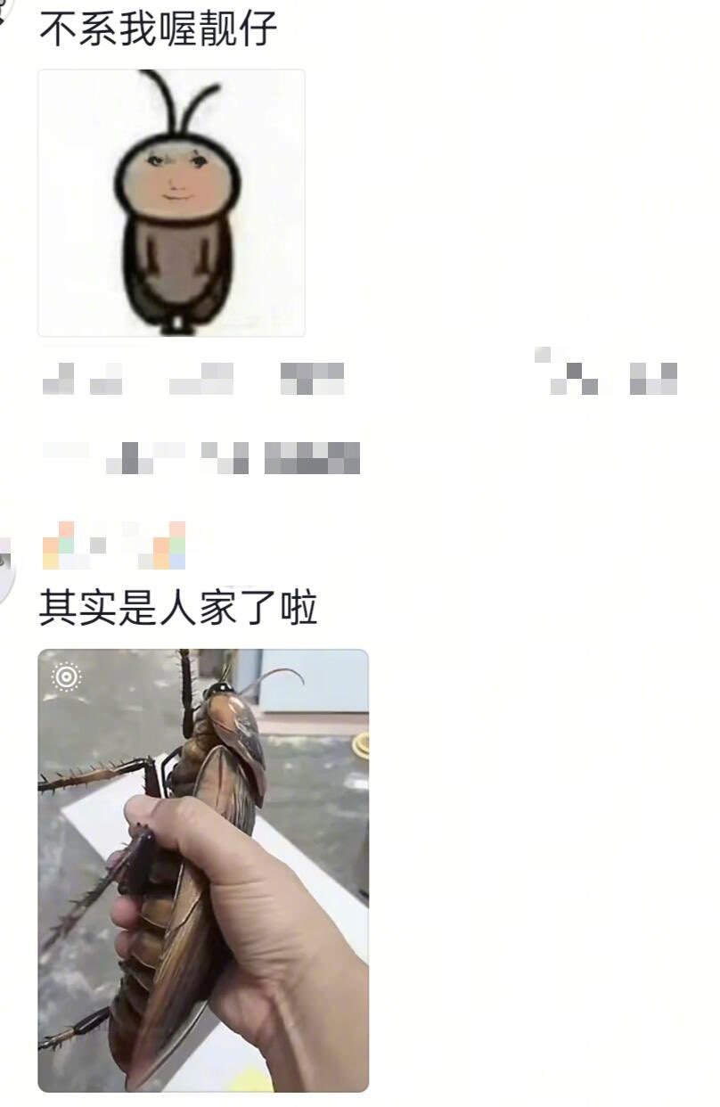 商家：咋滴，想吃蟑螂自己放