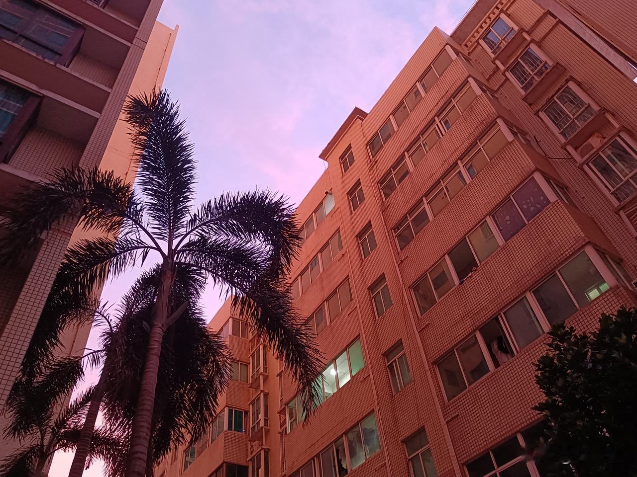 自己贱多一嘴，啪啪打脸。中秋节，过我哥那送礼，看到侄子坐在沙发上打游戏，就说：