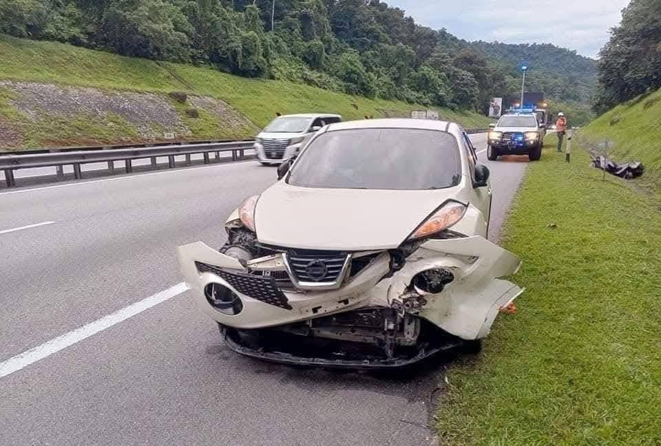 这车主需要坐牢吗？撞死保护动物老虎呢！