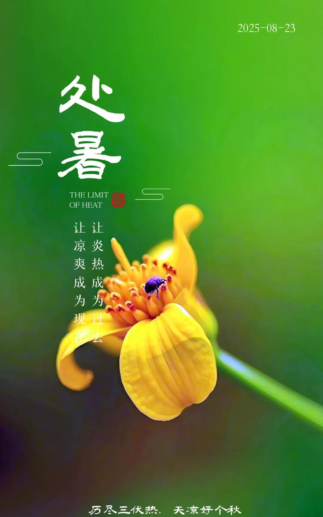《处暑问安》暑气收了尾，秋光叩门来云絮舒卷处，天阔似新裁远山描浅黛，近水笼