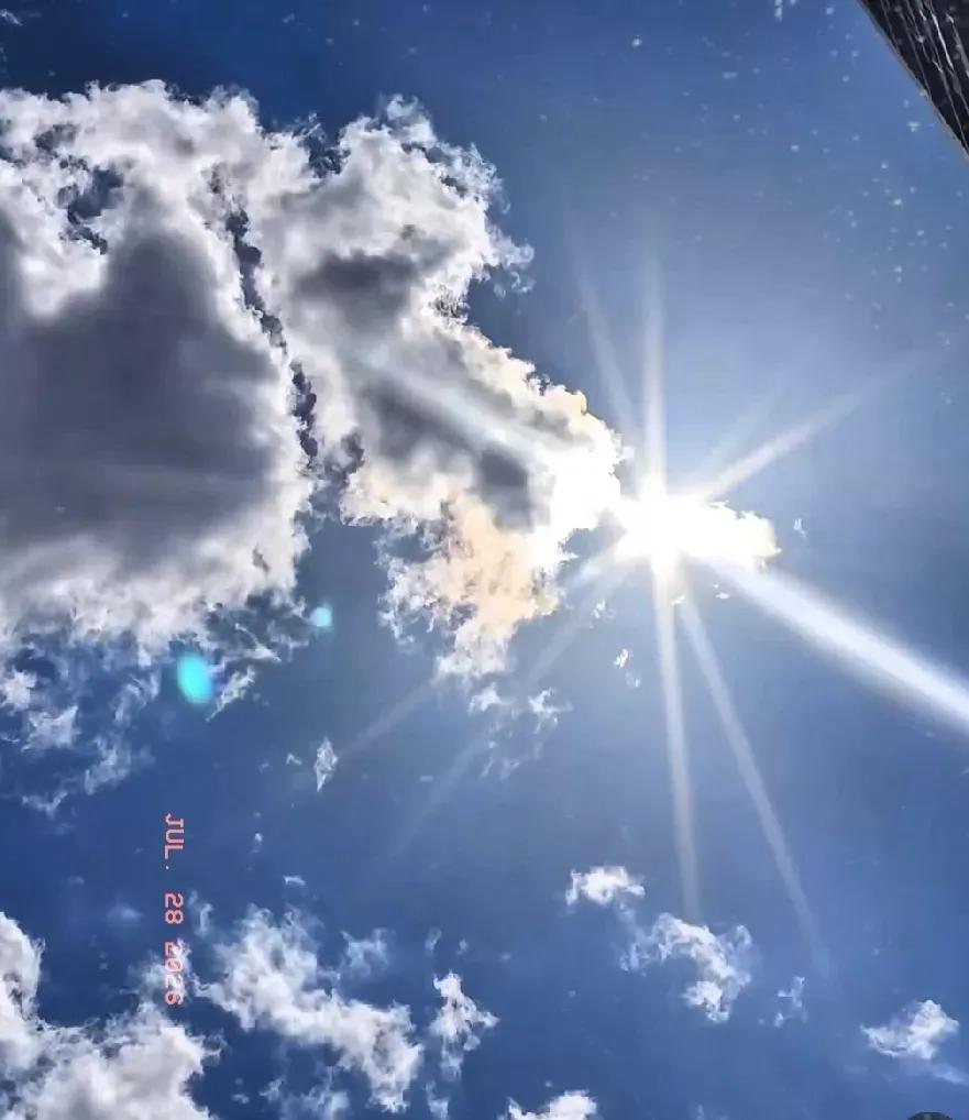 正式进入中伏第五天！今年的热，是真的熬人今天7月29日，不知不觉，已经是中