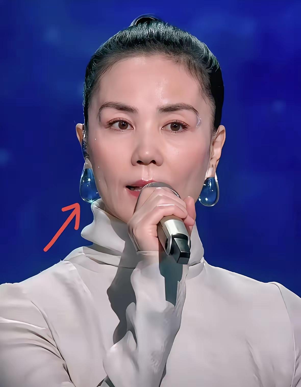 2014年王菲春晚失误，唱功被质疑，眉毛更是被群嘲，直接冲上热搜。谁能想到，这