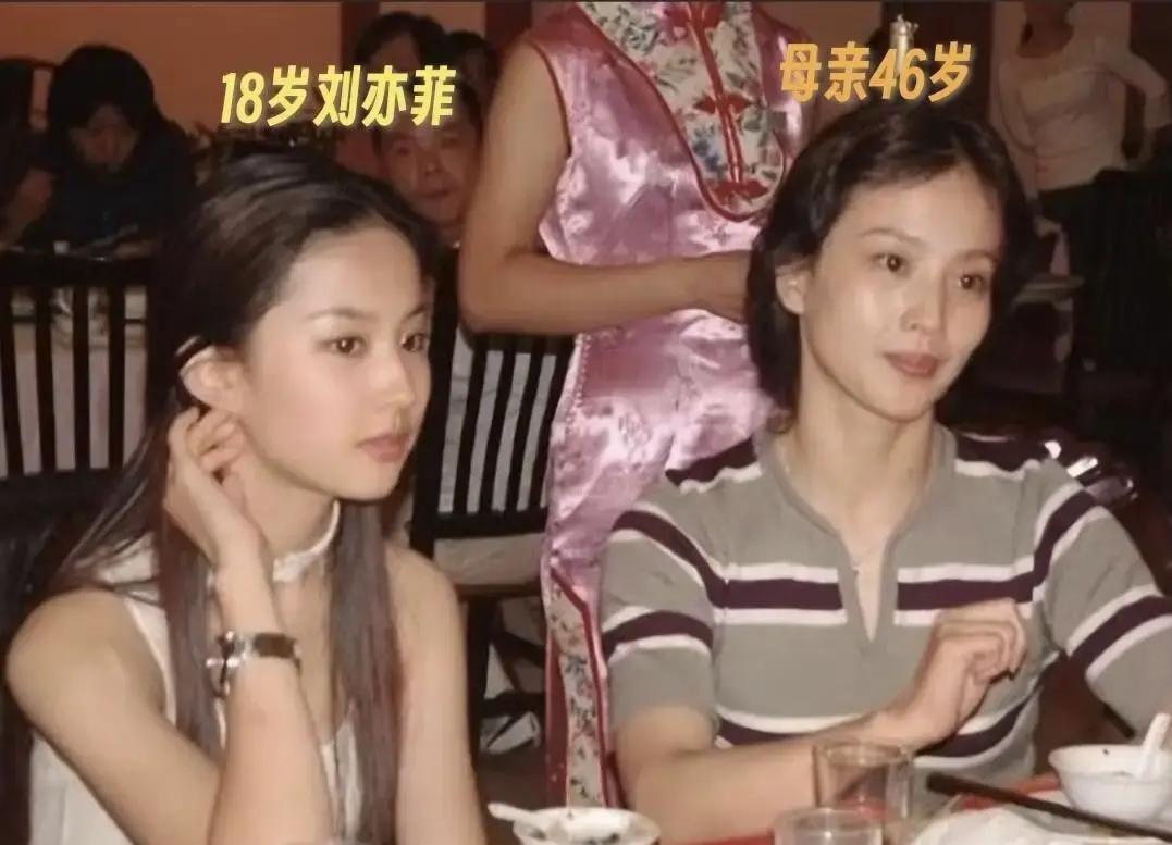 别再争论刘亦菲和她妈谁更美了。你们吵错了整整四十年。真正的差距，不在五官。