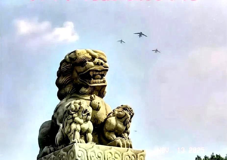 为什么清史还没修完？因为太震动了，暂时搁置！2019年，抓获很多想改清史的团