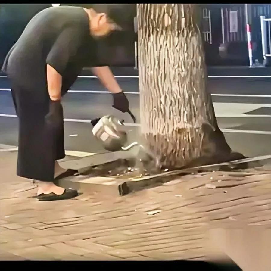 刷到个视频我手都攥紧了——一个老太连续14天端着开水壶浇小区的银杏树！