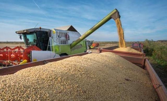 明明俄罗斯就在隔壁，为何之前中国还要绕远买美国巴西的大豆？其实，中国不选俄罗斯大