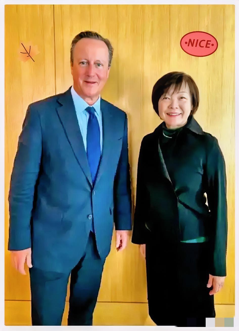 安倍昭惠最近的一些举动让人有些看不明白。她频繁出国，说是进行公益文化外交。但