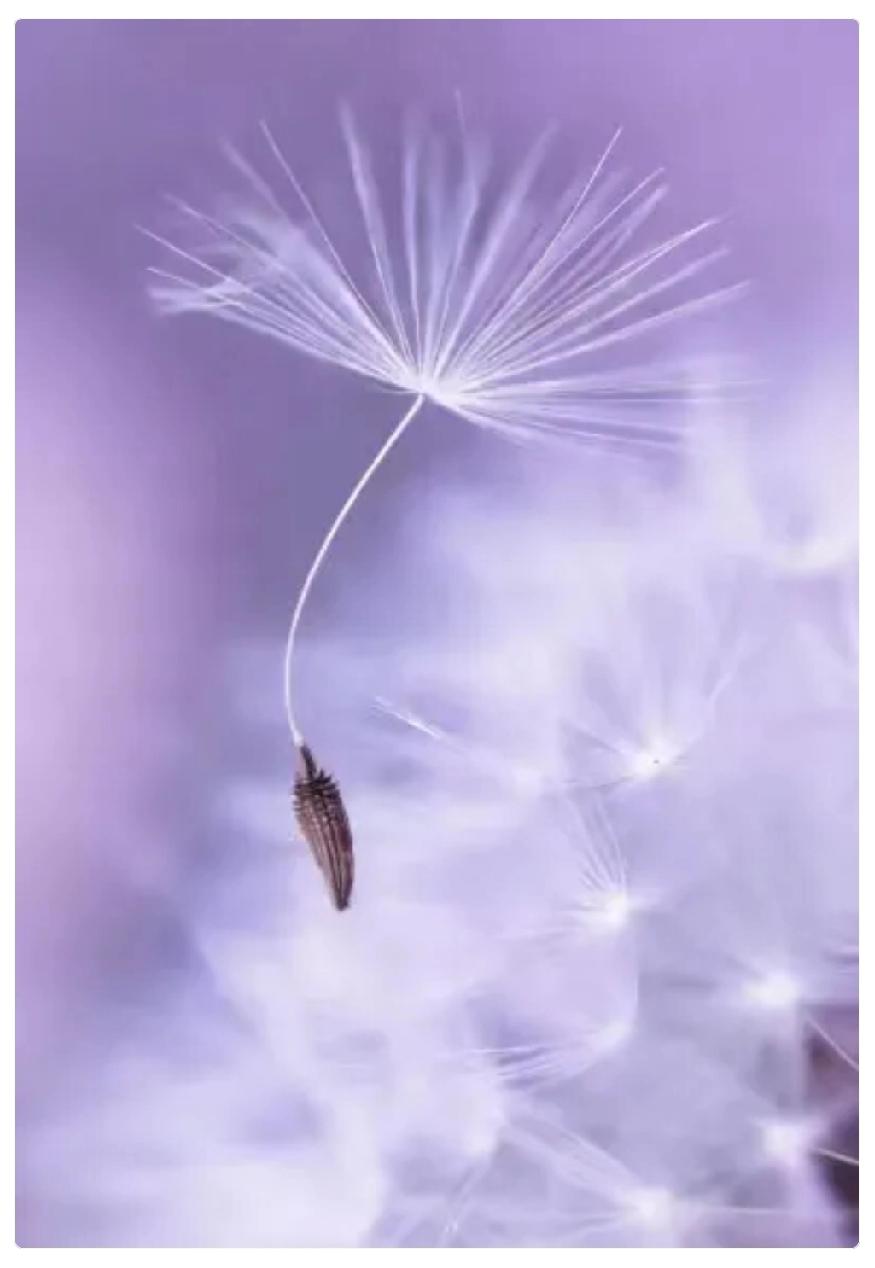 一位心理学者说：两个人一旦有过一次肌肤之亲，只要再有机会这不是道德的评判