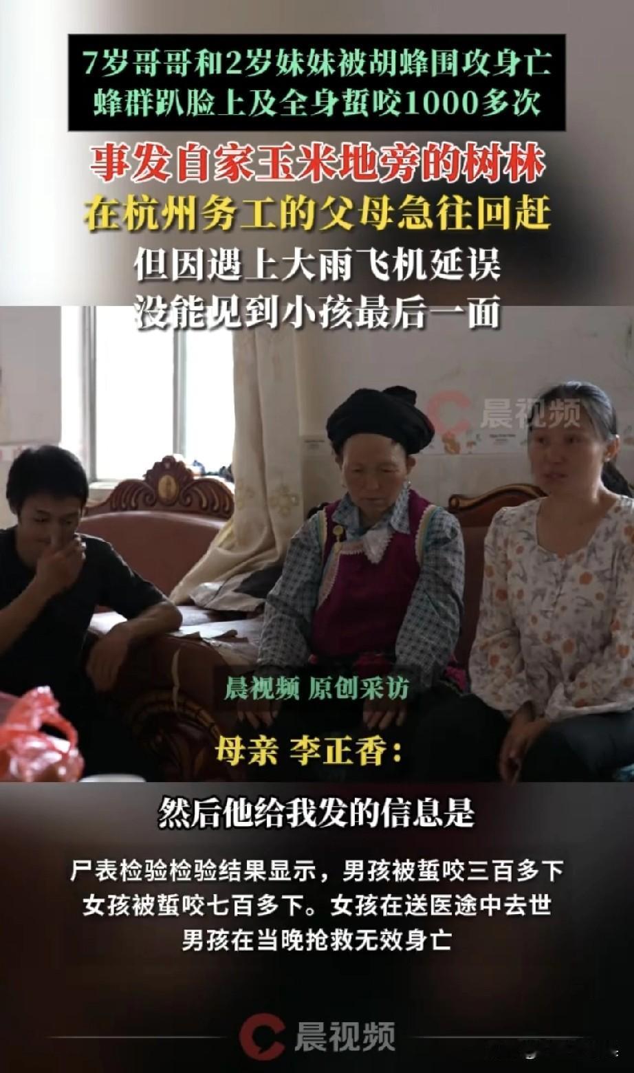 两个孩子太可惜了，马蜂为什么这么可恶，简直就是隐形杀手，看来要对马蜂进行一次大规