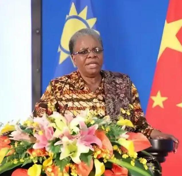前脚非洲国家纷纷效仿印尼锁矿，影响中资企业在非投资，后脚中国与纳米比亚联合声明重