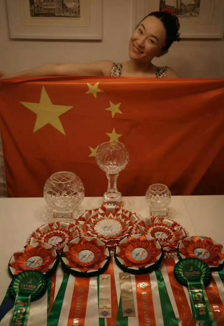 霍思燕养什么都争气霍思燕家的鸟又夺冠了短短一个月双份冠军喜讯，犬展、鹦鹉赛事双双