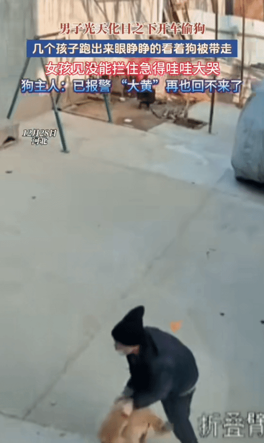 太猖狂了！河北，男子把车停到一户人家门前，看到狗。突然，他抱起狗往车里塞。三个孩