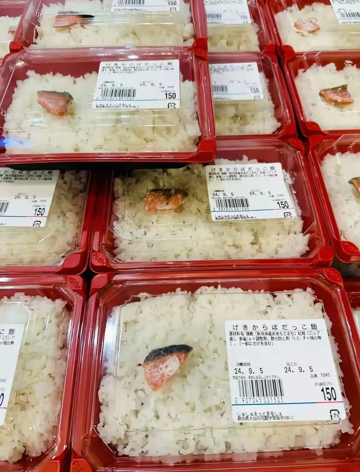 这应该是专门卖给米饭仙人的盒饭吧。