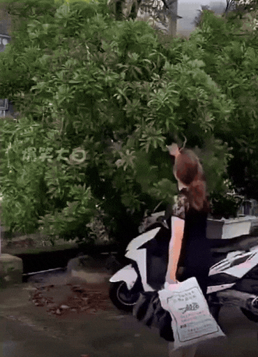 果然，高手在民间！刚开始还以为这个大妈是在树上摘什么水果，没想到她薅了半天居然
