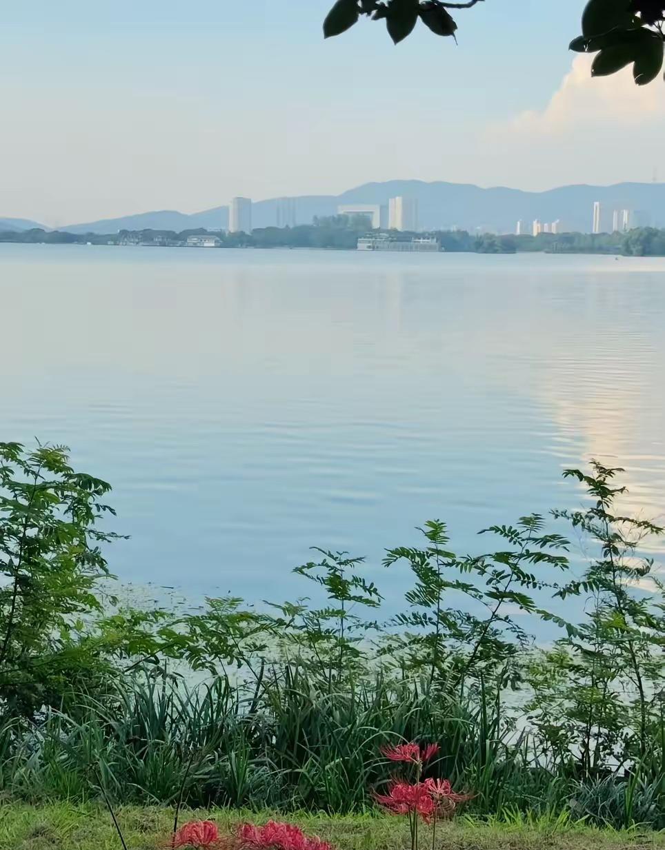 怪不得体制内剩女太多了，外甥女是体制内小学老师，工资到手5000块钱，没车没房，