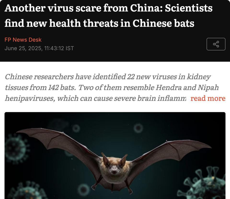 外媒：中国研究人员在142只蝙蝠的肾脏组织中发现了22种新病毒，其中两种与可致人