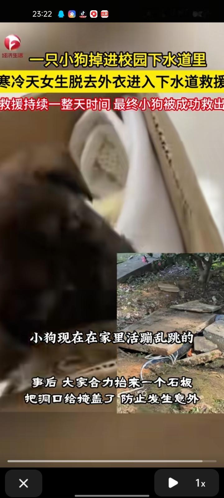 11月20日，湖南常德。田女士称，早晨上学的时候就听到下水道有动静，很多同学停下