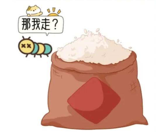 大米生虫是常见问题，很多人第一反应是端到太阳下暴晒，认为能彻底除虫，实则这是典型