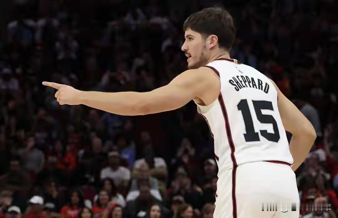 我强烈建议火箭立刻交易走谢波德，谢波德就是一个浪投王！在今天火箭客场挑战开拓者的