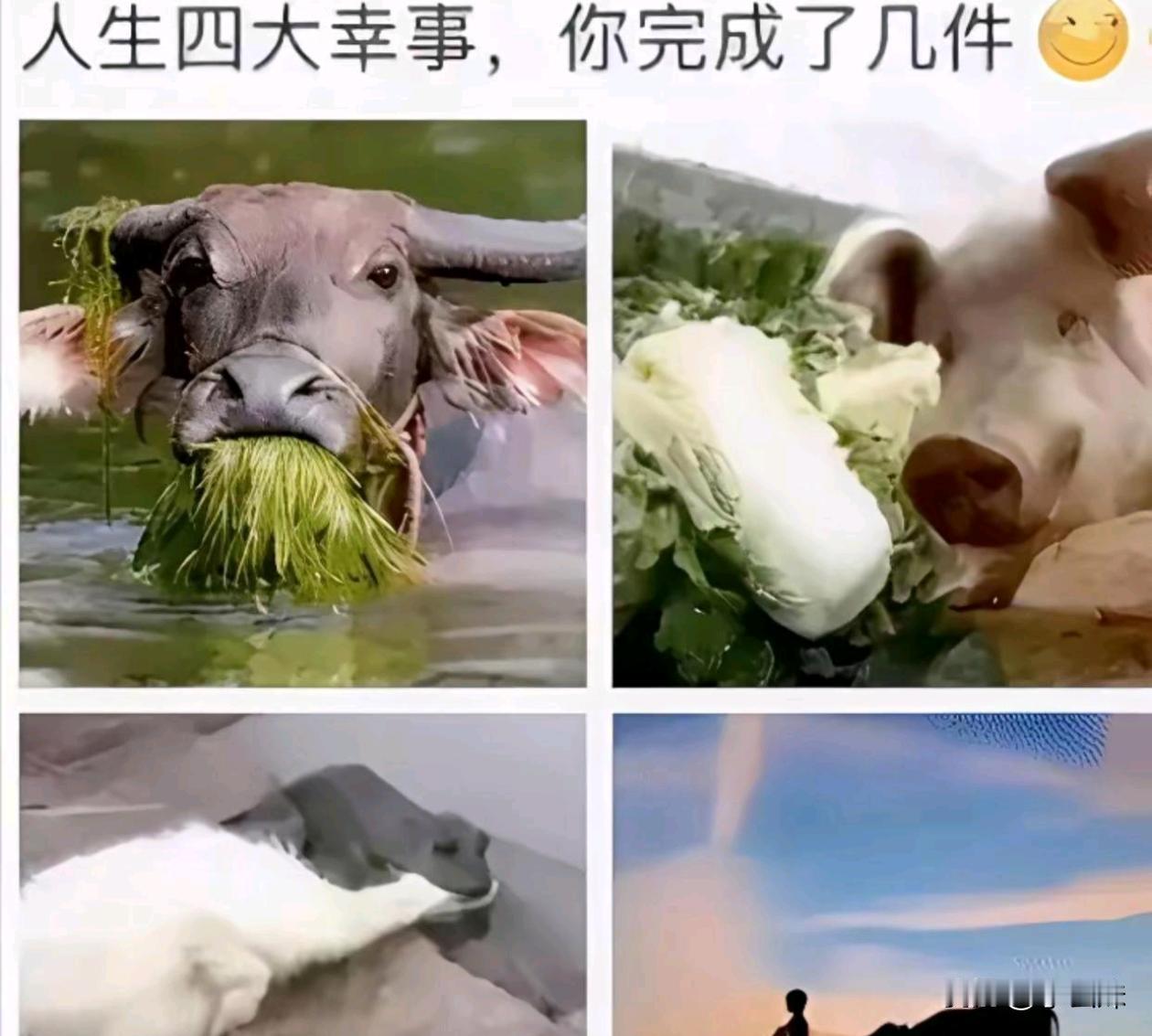 一件事都没完成的我表示不服