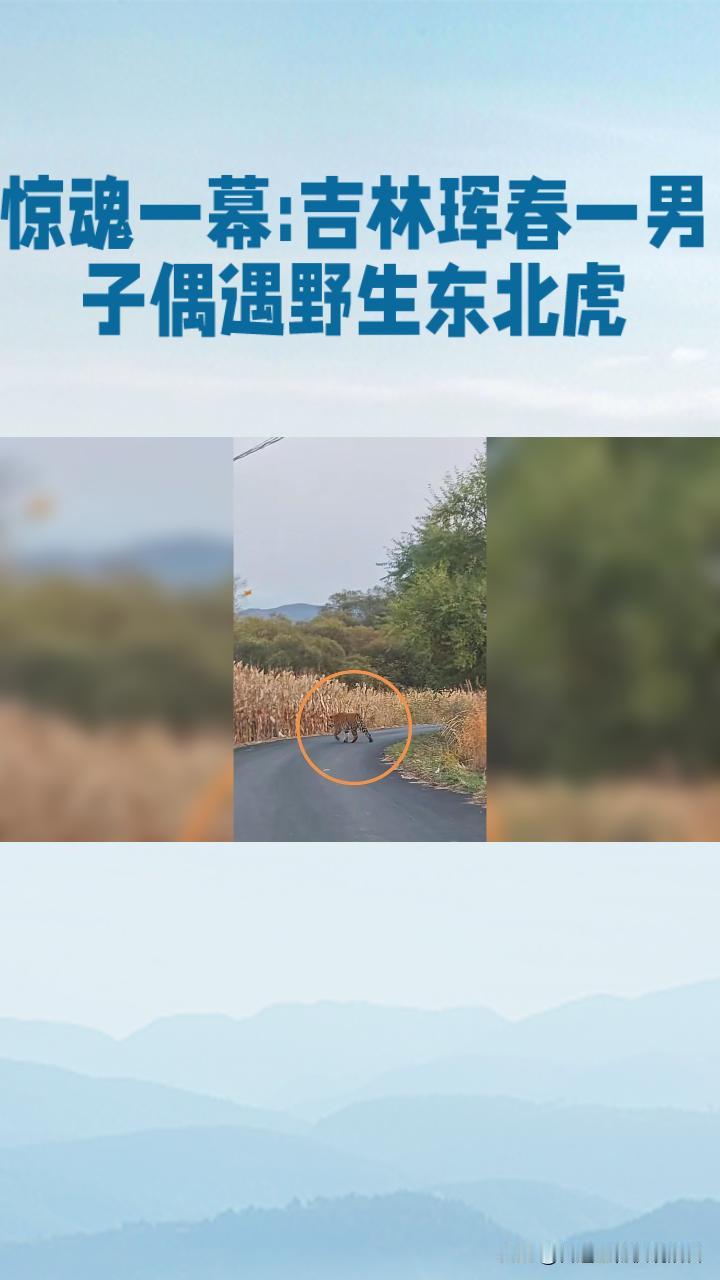 上联：粗茶淡饭平安过，诚邀下联？蒸酒美味幸福多，