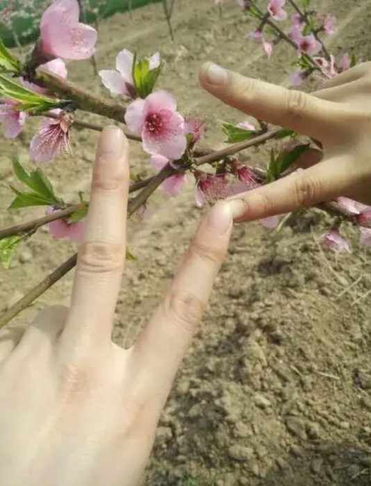 我家女儿现在是高二，选科是物化政，物理考试就没有及格过，说是物理太难了。老师讲