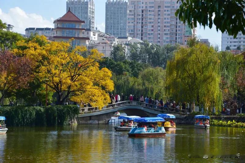 昆明翠湖城市绿道简直太火了，每天都游人如织。这条全长约620米的绿道南起人民路过