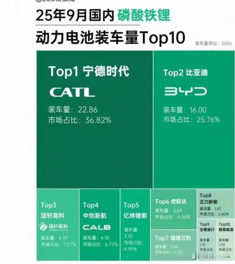 两家公司，电池份额占据了大半江山宁德时代，比亚迪好样的，电动车，老外干不过