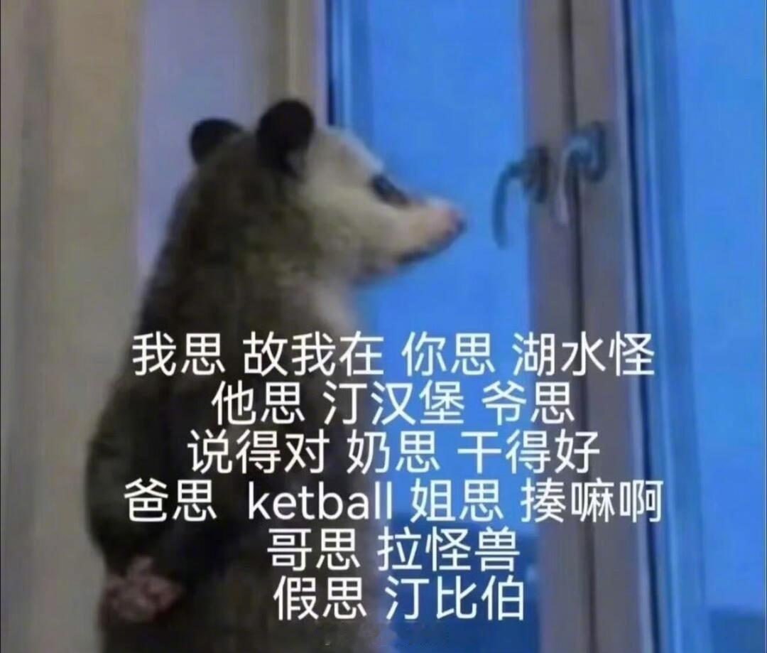 最近迷上了这个负鼠表情包