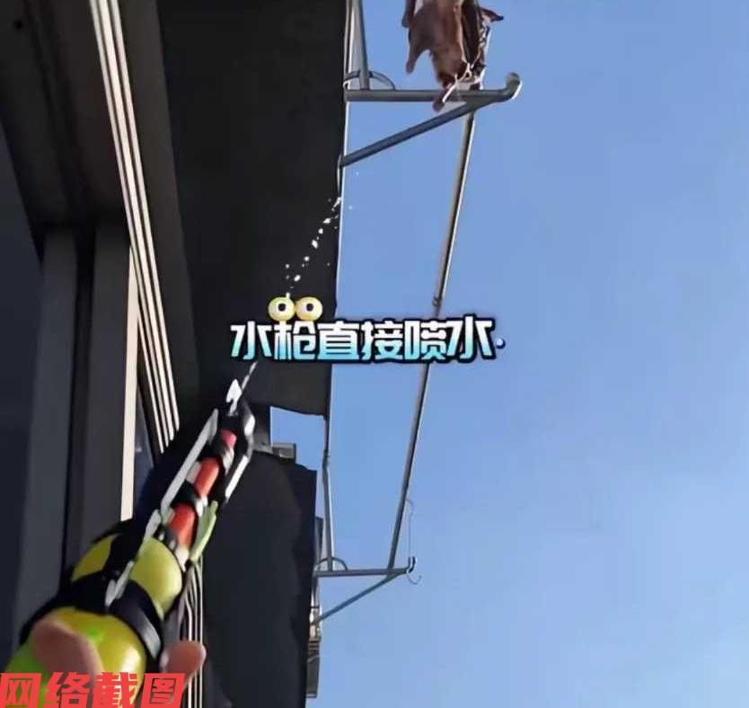 有处小区的男子，这几天发现楼上的邻居在窗台上晒腊肉，可是邻居没有想到这肉上的油却
