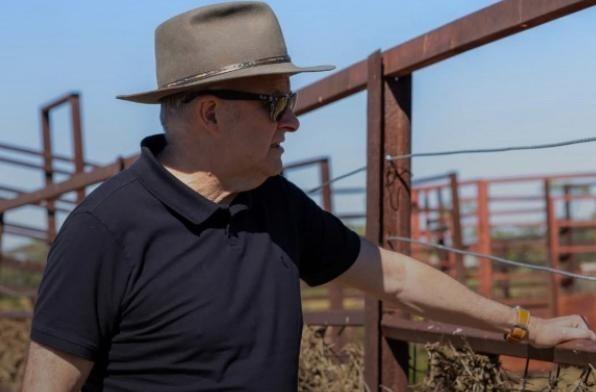 澳大利亚天塌了，在加拿大总理卡尼上周访华之后，一家中国进口商购买了一批加拿大油菜