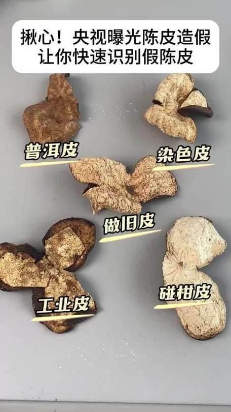 央视《财经调查》曝光陈皮市场20倍暴利造假黑幕！部分商家用广西廉价柑皮，经“轻工