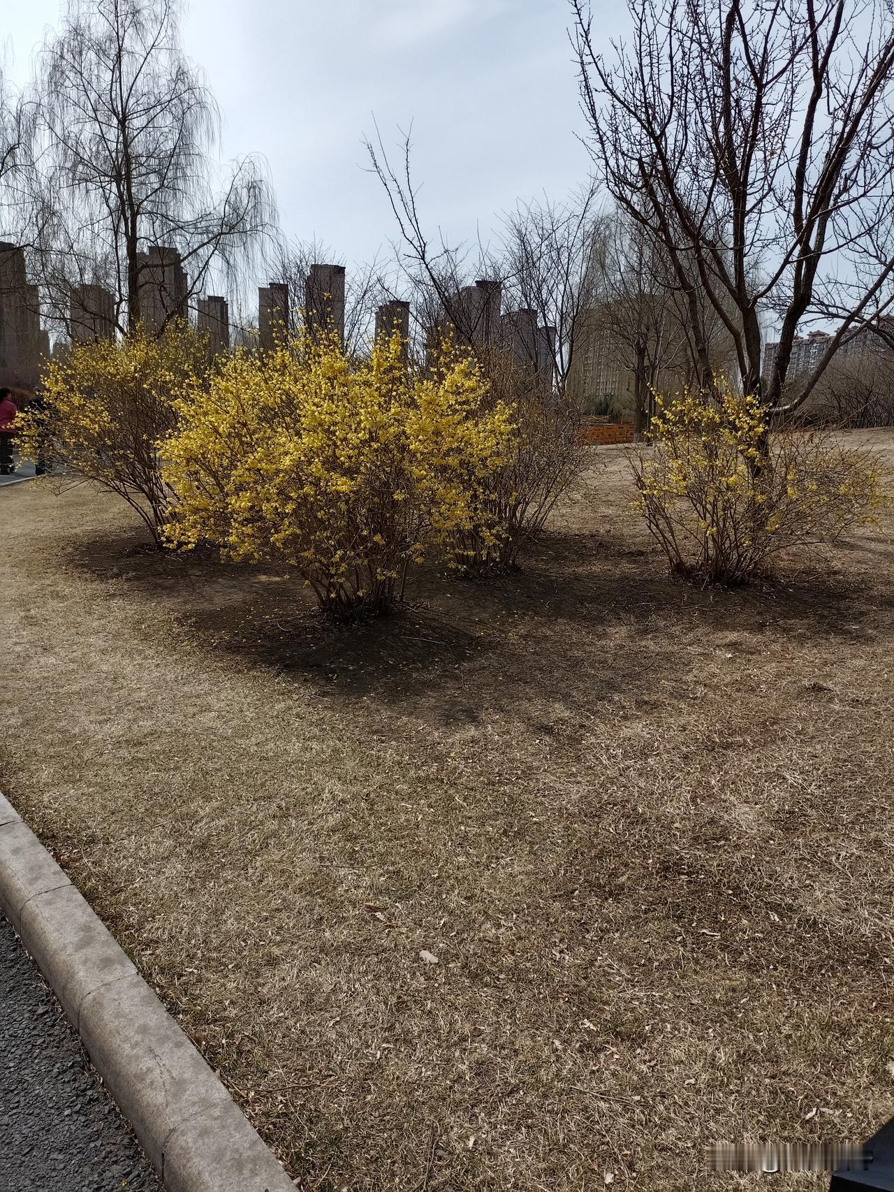 老刘发财了老刘是单位员工，很健谈，说话快，但是，吐字清晰。由于一些原因，老刘