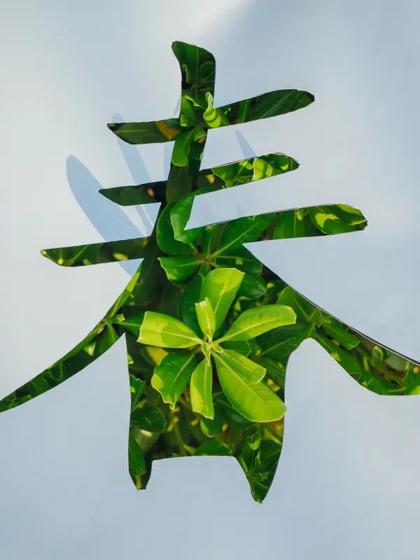 古人的"驻春"智慧：不医美不花钱，4个家常方法，把春天的生机锁进身体提到“