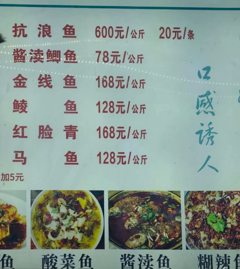 这个饭店的鱼一般人真吃不起…你们觉得贵不贵？