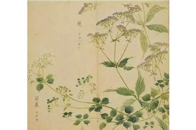 古代最美的情诗，流传了2000多年，她说鸡打鸣了，他说天还没亮要说清代最狂的