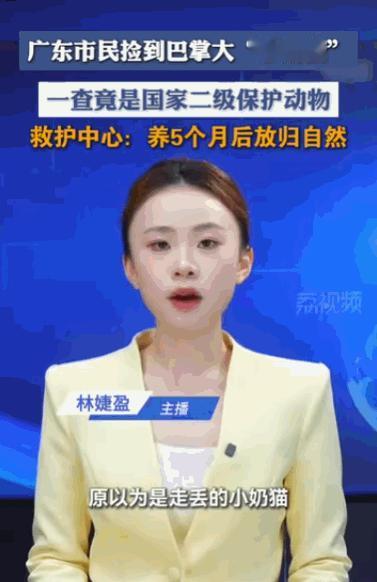 差点牢底坐穿。广东肇庆，一位市民闲来无事在江边溜达，看到一只巴掌大的“小奶猫”