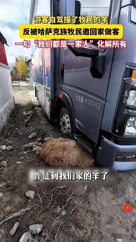撞伤一只羊,收获满程暖10月23日,王女士在新疆阿勒泰自驾时,不慎撞伤牧民